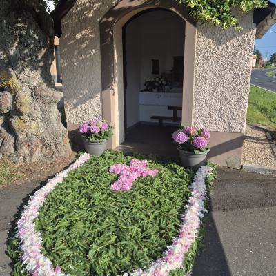 Bild1