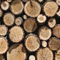 Brennholzbestellung 2019